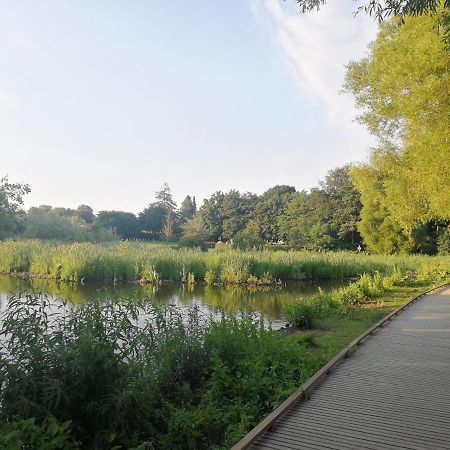 Room In A Danish Cottage With Garden View, 10 Min To Cph Gentofte Exterior photo